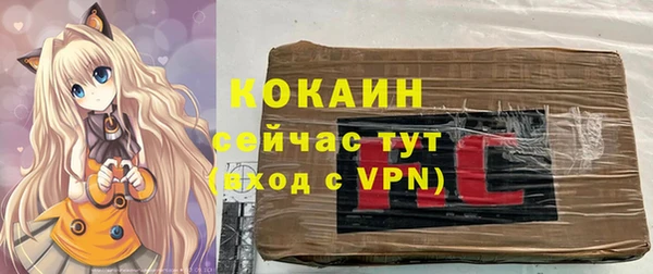 spice Арсеньев