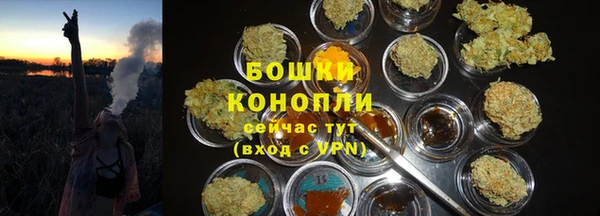 spice Арсеньев